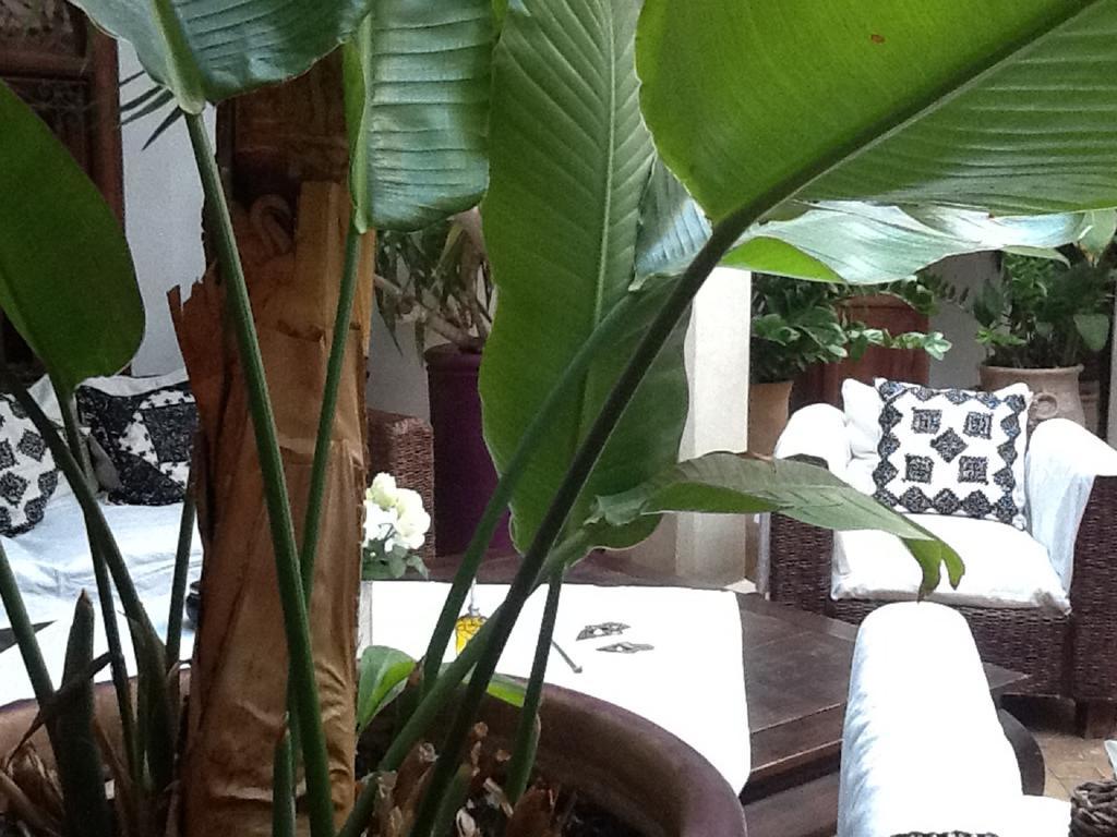Riad Mandalay Marrakesh Luaran gambar